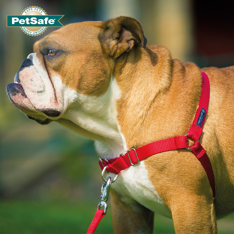 PetSafe貝適安easywalk狗狗胸背帶防爆沖牽引繩遛狗狗鏈中大型犬_貝適安旗艦店_寵物_寵物食品及用品