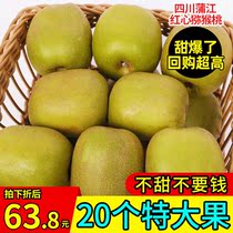 Sichuan Pujiang Red Heart Chic Exotic Fruit grade Big fruit Fresh should season fruit Chipagan Pregnant Woman Momywalnut 10
