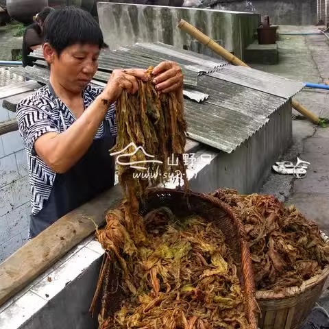 永川特产松溉盐白菜四川重庆汆汤肉专用酱腌菜大菜菜黄秧白咸菜-图1