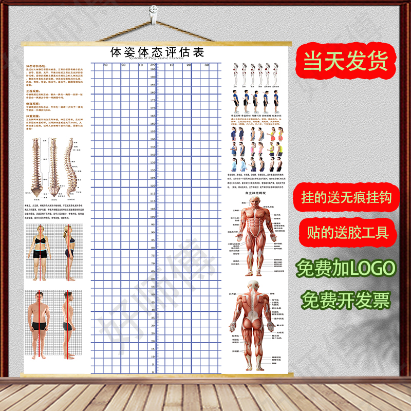 体态评估图健身房体测表瑜伽私教站姿形体脊椎修复身体装饰 - 图0