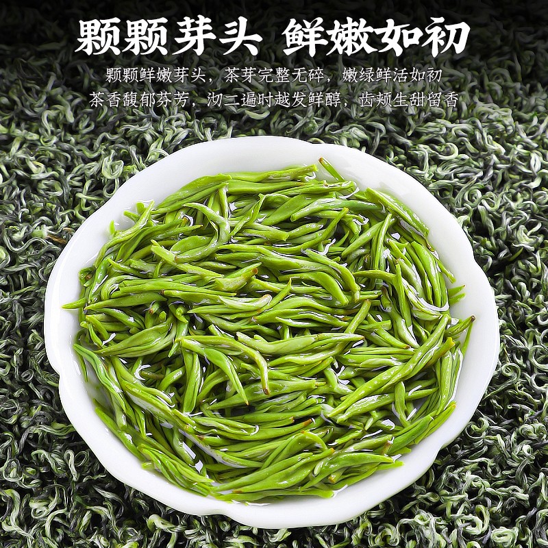 明前头采2023新茶特级贵州都匀毛尖绿茶浓香型春茶礼盒装茶叶250g