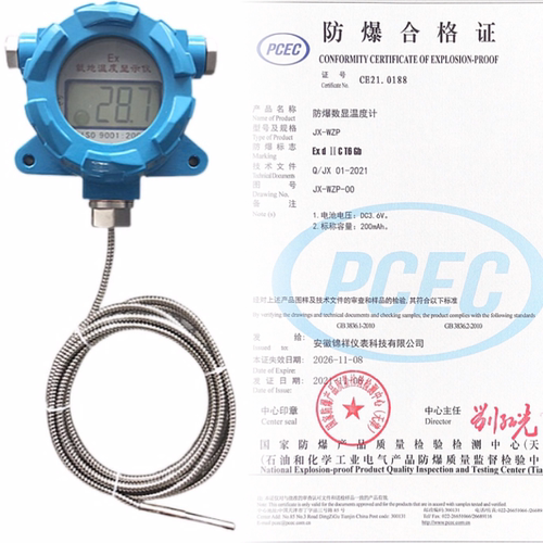 高精度挂壁式防爆就地显示数字数显温度计防水工业仪表投入线缆式 - 图3