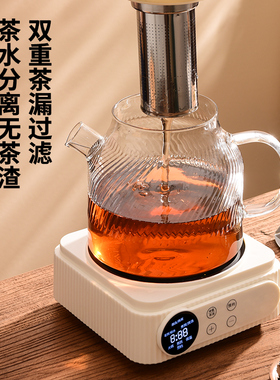 智能温控多功能养生壶大容量家用