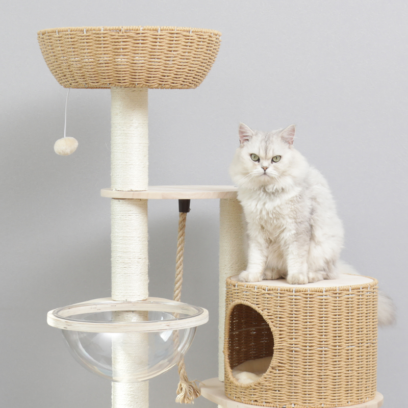 猫爬架高层大型猫咪实木猫窝树一体猫抓板猫玩具猫跳台立式猫架子 - 图1