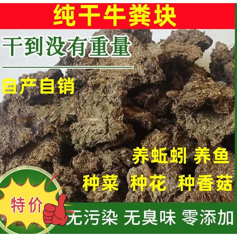 发酵牛粪纯天然牛屎粪纯干牛粪块肥有机肥料农家花卉种花种菜种植 - 图0