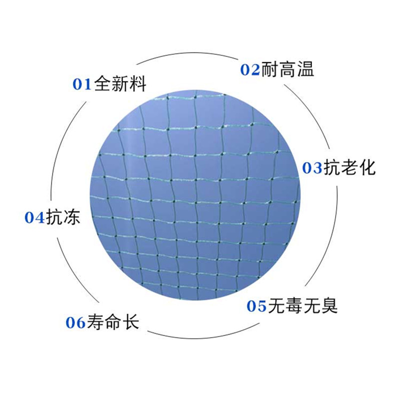 果园防鸟网养殖天网尼龙网大棚网鱼塘网养鸡天网 - 图3