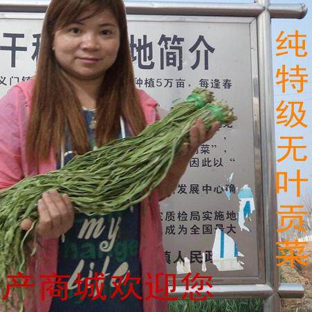 500g包邮一级无叶贡菜干新鲜苔干苔菜农家土特产干货脱水蔬菜响菜 - 图0