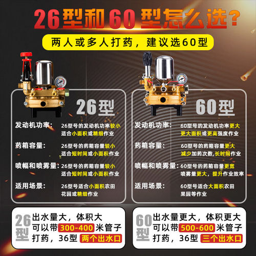 三缸柱塞泵打药机喷雾器高压农用园林果树小型家用电动喷洒农药泵 - 图2