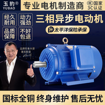 Total copper three-phase asynchronous motor 11 15 18 5 18 22 22 30 30 45 KW 45 KW 55KW national scale 380V motor