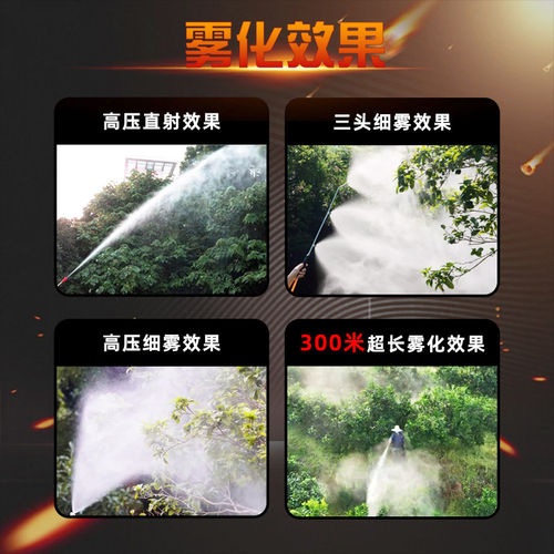 三缸柱塞泵打药机喷雾器高压农用园林果树小型家用电动喷洒农药泵 - 图0