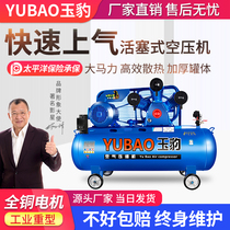 Air compressor industrial-grade large 380V high-pressure beating air pump Small 220V spray air pounds steam repair air compressor