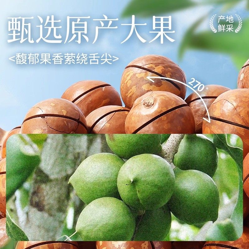 味滋源夏威夷果奶香味健康新货坚果炒货办公室零食小吃过年送礼,淘宝优惠券,粉丝福利购,淘宝优惠卷