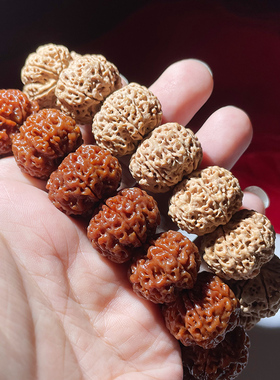 心佑尼泊尔六瓣大金刚凤毛麟角