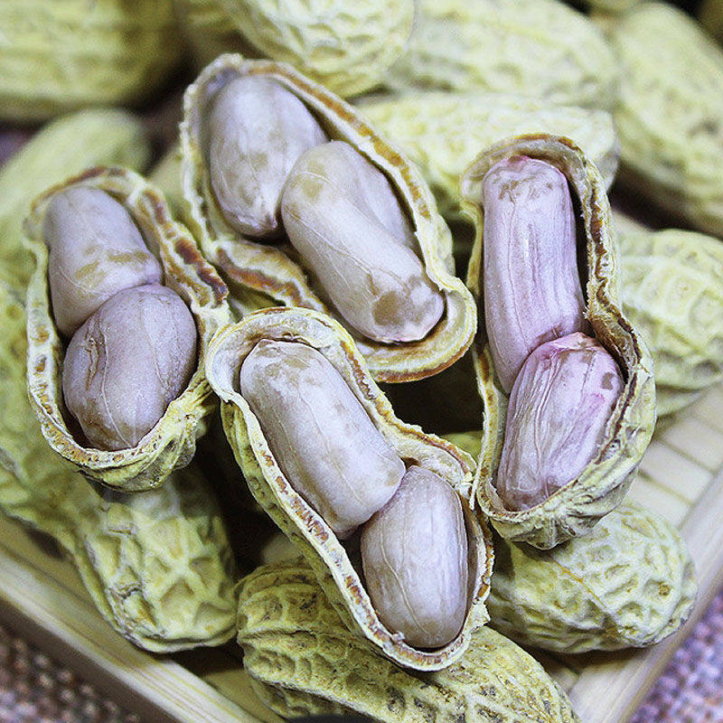  伊乃人家花生