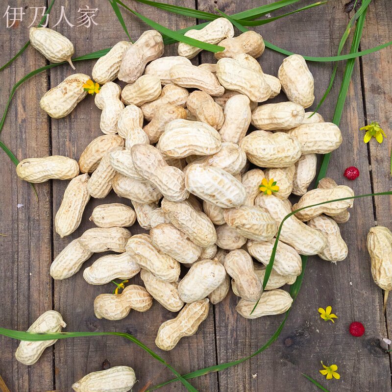 伊乃人家花生