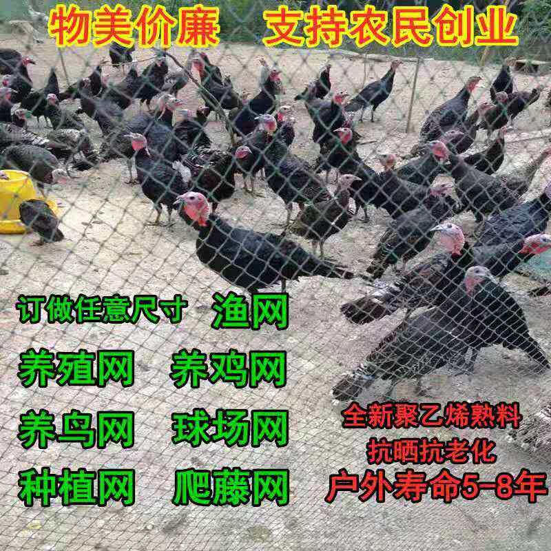 家禽养鸡网拦鸡网围鸡网养殖网菜园网防鸡网围栏网,淘宝优惠券,粉丝福利购,淘宝优惠卷