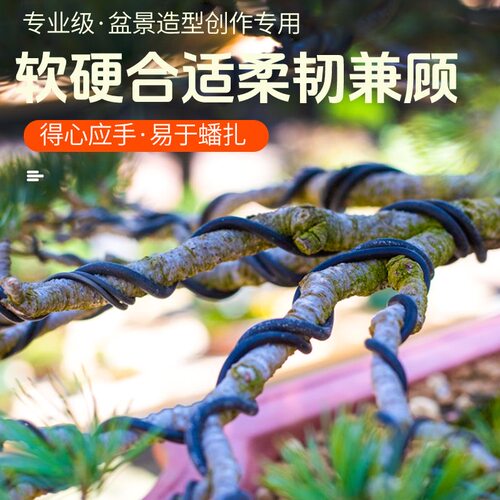 爬藤架瓜果架专用铝丝线盆景园艺造型专用软铝线盘扎定型花支架 - 图2