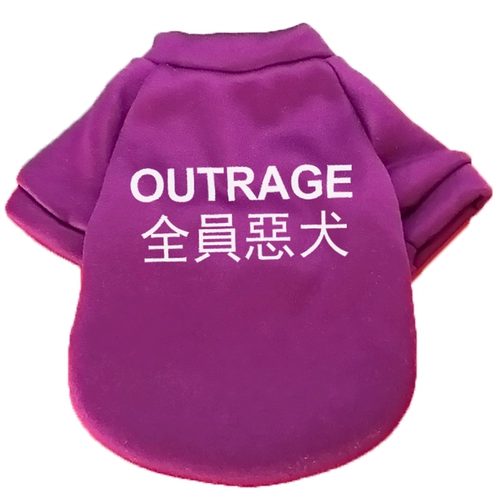 Pet Pet Teddy Puppy Cat Dog Puppy Одежда весна и осенняя одежда Зимняя маленькая собака плюс бархат Bibie Bebie Bebie Chihuahua модный бренд