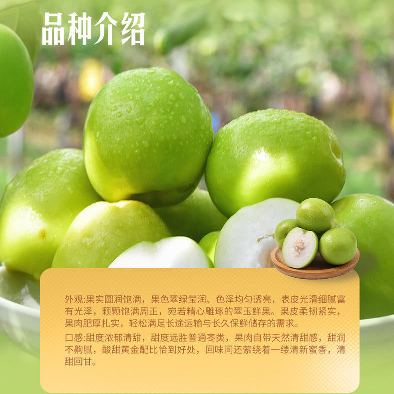 山姆超市代购2kg苹果枣大果青枣新鲜冬枣大枣水果酥脆清甜礼盒装,淘宝优惠券,粉丝福利购,淘宝优惠卷