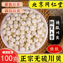 Tongrentang fritillary 100g Sichuan Begrain dry Chinese herbal medicine special class pure wild no sulphur Sichuan Abakawa bay