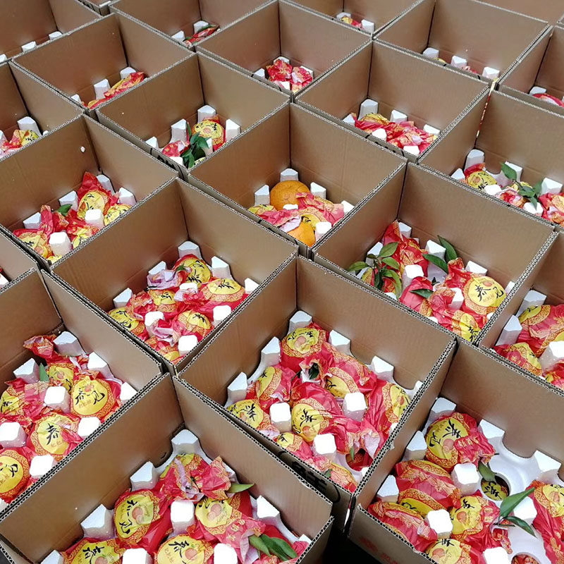 四川眉山春见耙耙柑精选中大果8装新鲜现摘果园直发超甜多汁橘子,淘宝优惠券,粉丝福利购,淘宝优惠卷