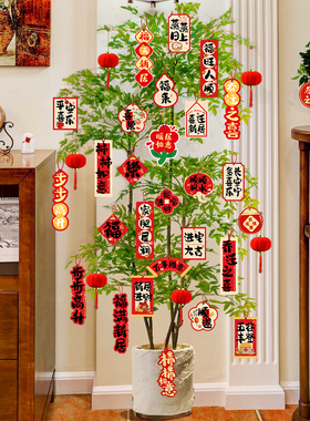 乔迁之喜新居装饰绿植挂饰品