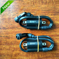 Leaf Shengfei Flying Blue Mossa Division System Zong Shen Futian Tricycle Locomotive High Pressure Pack Dual Induct Ignition