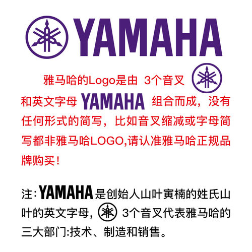 雅马哈竖笛8孔德式YRS-401/301英式YRS-402高音C调专业竖笛进口 - 图0