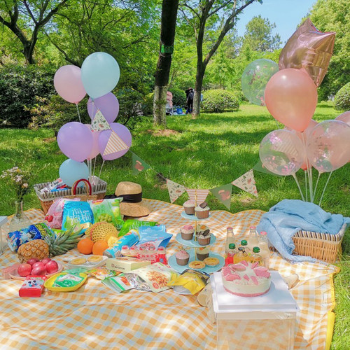 野餐桌飘气球装饰ins网红户外春游必备用品拍照道具生日场景布置 - 图2
