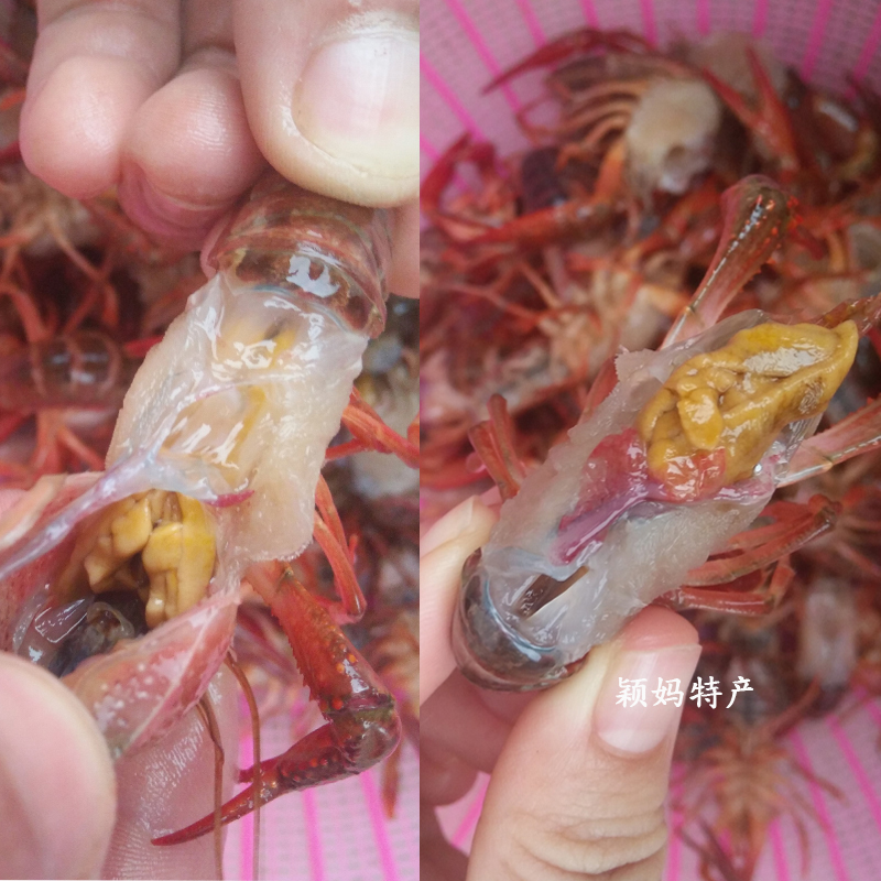  农巴老虾类制品