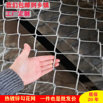 Breeding Hook Flower Steel Wire Mesh Enclosure Ring Piggy Bull Sheep Dog Galvanized Rhomboid Mesh Spray Pulp Hang Net Plant Grass Protection Razor-wire Fence Wire Fence Wire Mesh