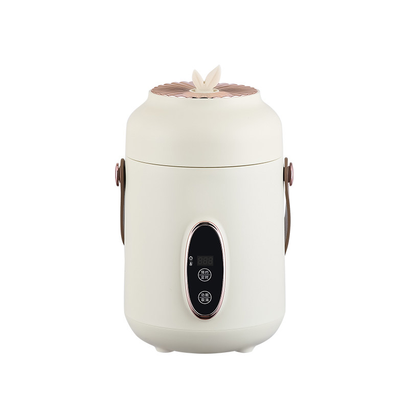 母亲节礼物妈妈生日送奶奶婆婆长辈实用的适合中老年人小家电养生