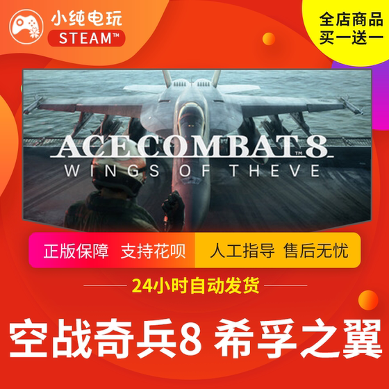 Steam genuine Ace Combat 8 Shifu Wings