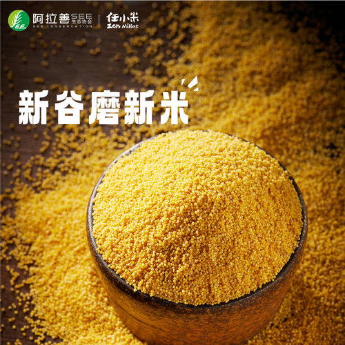 任小米25年当季新米5斤粮食农家真空包装沙漠节水小米真空袋粥 - 图0