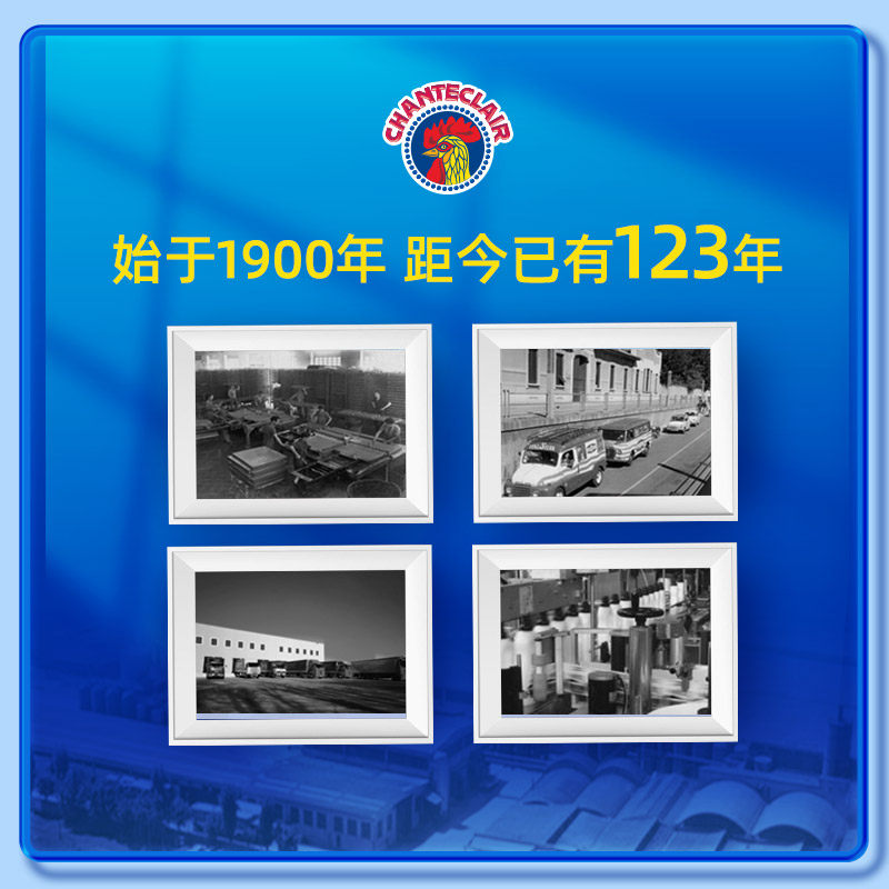 进口大公鸡管家重油污净油污清洗剂 chanteclair洗护油污清洁剂