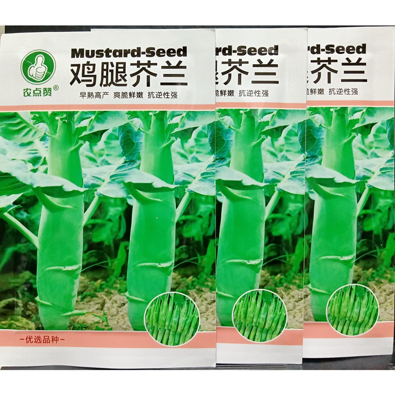 鸡腿芥兰香菇芥蓝种子粗茎脆嫩茎用芥菜种籽春秋天季播种约800粒 - 图0