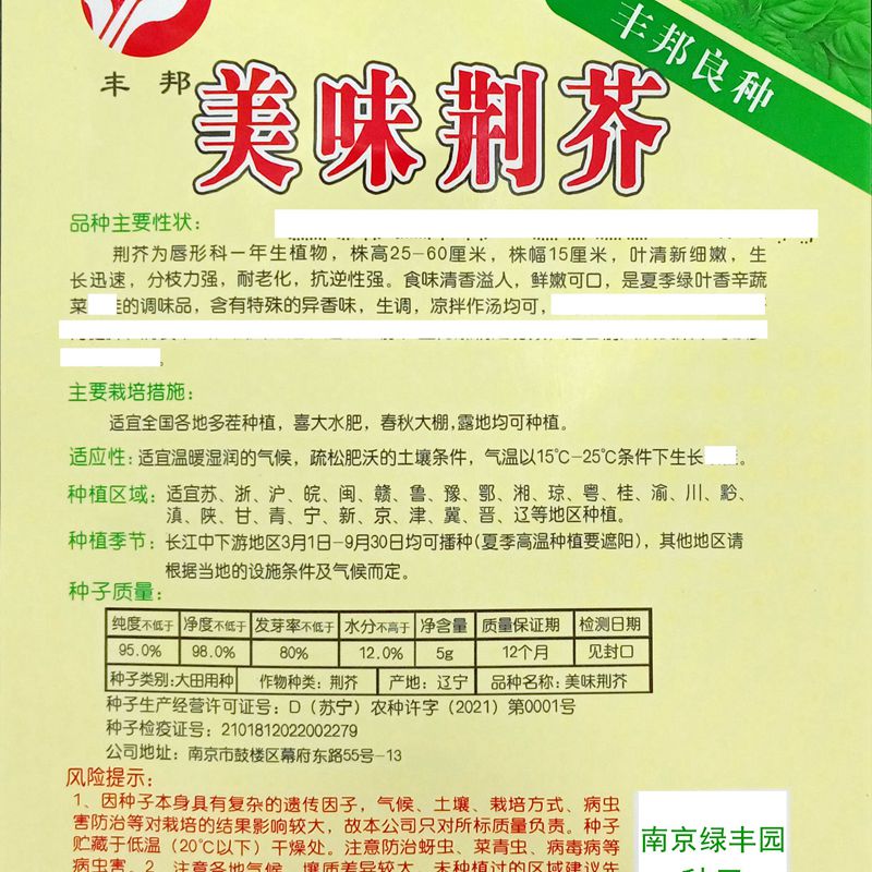 大叶荆芥种子特色速生香荆荠叶美味味鲜春夏秋季种籽5克约800粒 - 图1