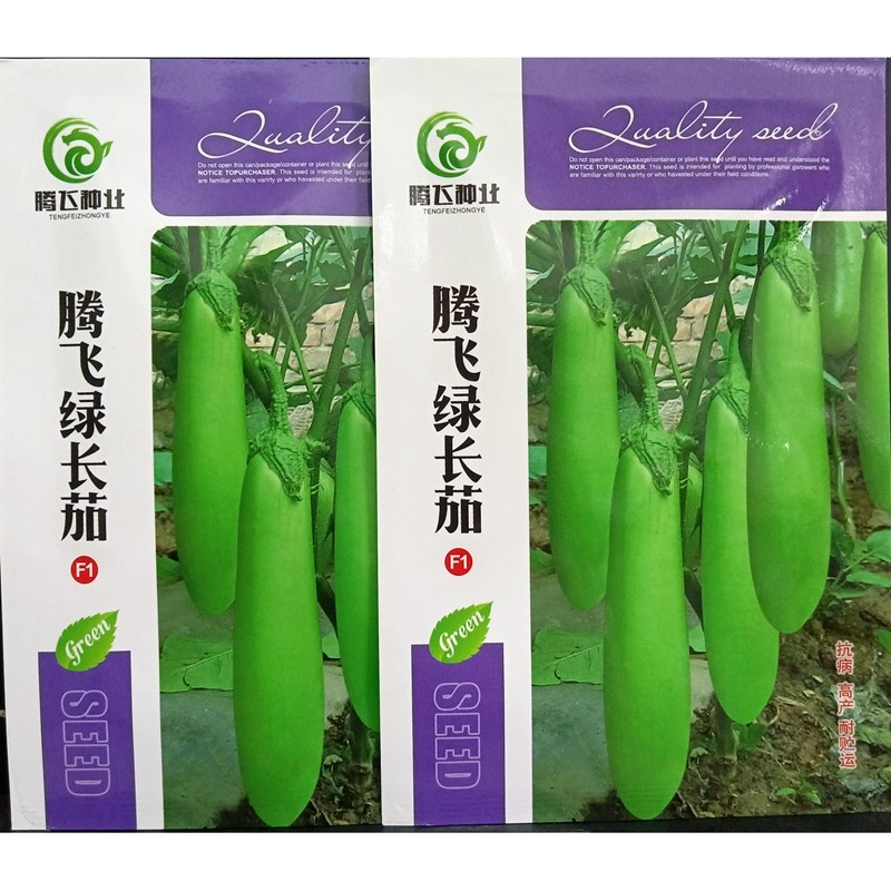 中农丰农腾飞绿长茄种子优质杂交28-35厘米青皮绿皮长茄子籽10克,淘宝优惠券,粉丝福利购,淘宝优惠卷