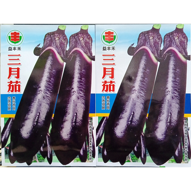 三月茄种子早中熟紫黑色光亮皮长茄子种籽老品种蔬菜5克/800粒 - 图0