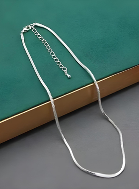 妻子浪漫旅行戚薇同款蛇骨链ins风新款项链叠戴项链博主同款饰品