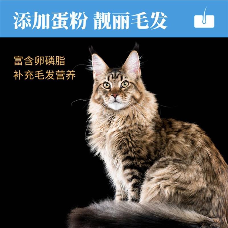 力狼猫粮成猫幼猫全阶段专用蓝猫流浪猫增肥发腮奶糕全价鲜肉4斤 - 图0