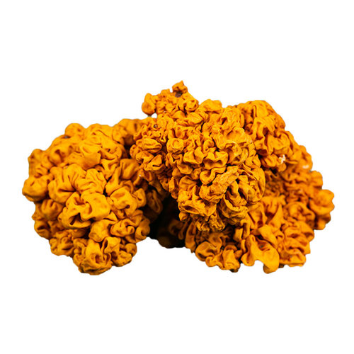云南特产野外生长椴木金耳菌黄木耳脑耳银耳干木耳菌菇黄金耳干货 - 图3