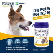 Cat dog Universal Bolletan Dentition Powder 20 gr Go to dental calculus Deodorant Tooth powder Dog with yellow teeth for periodontal periodontitis