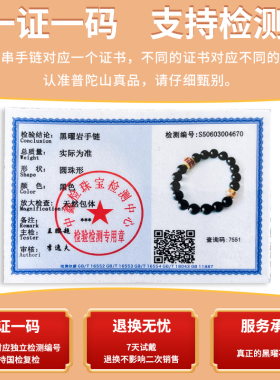 普陀山黑曜石微雕投影本命佛手串