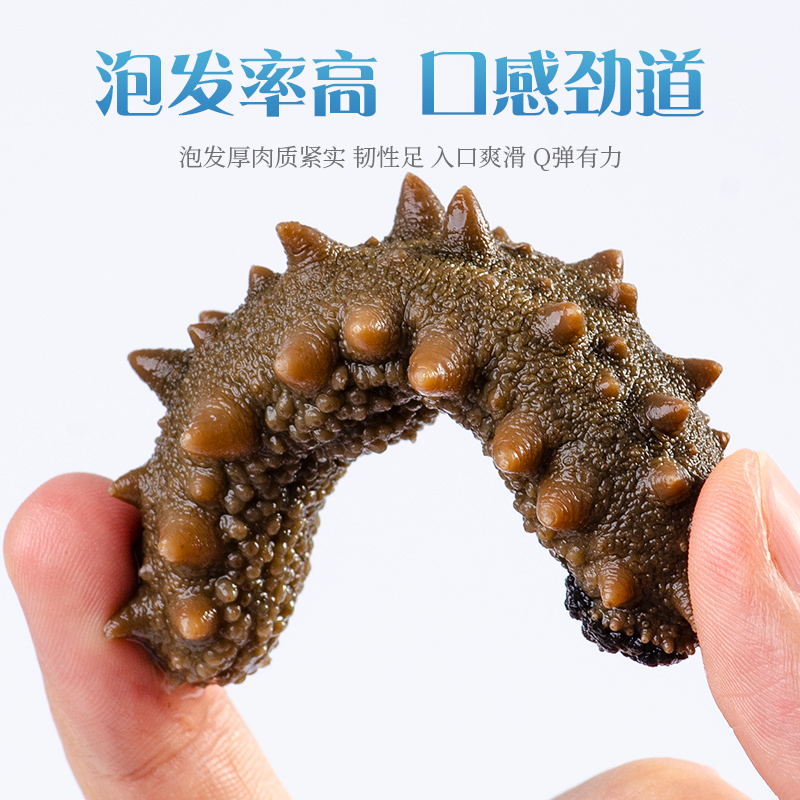 养庆堂旗舰店大连海参淡干海参干货500g鲜活海生非即食海渗礼盒单个刺参海渗1