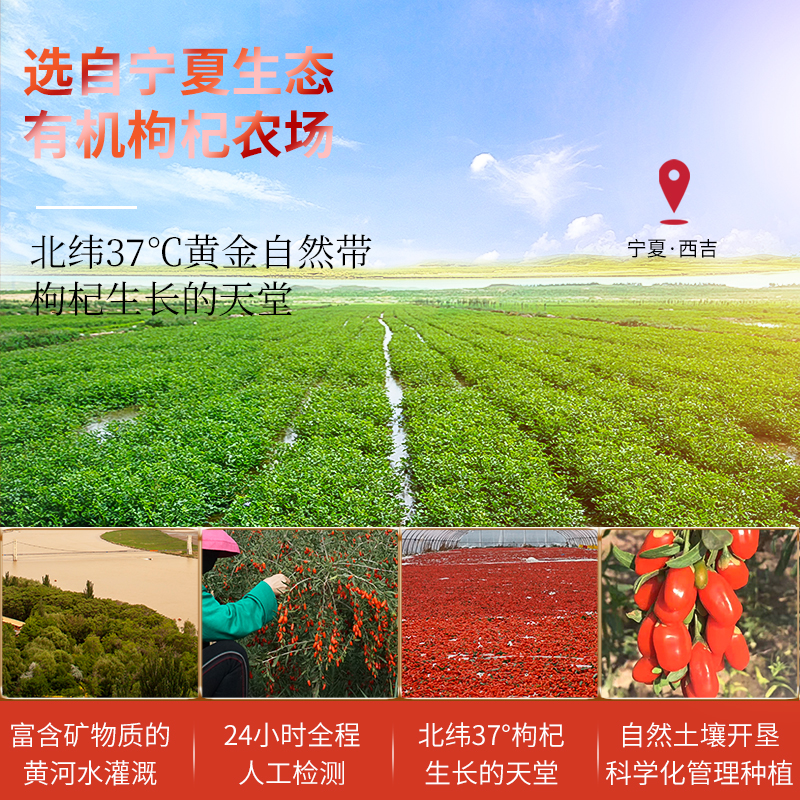 养庆堂旗舰店养庆堂枸杞生姜原浆宁夏鲜枸杞汁30ml*10袋枸杞原汁液便捷小袋0