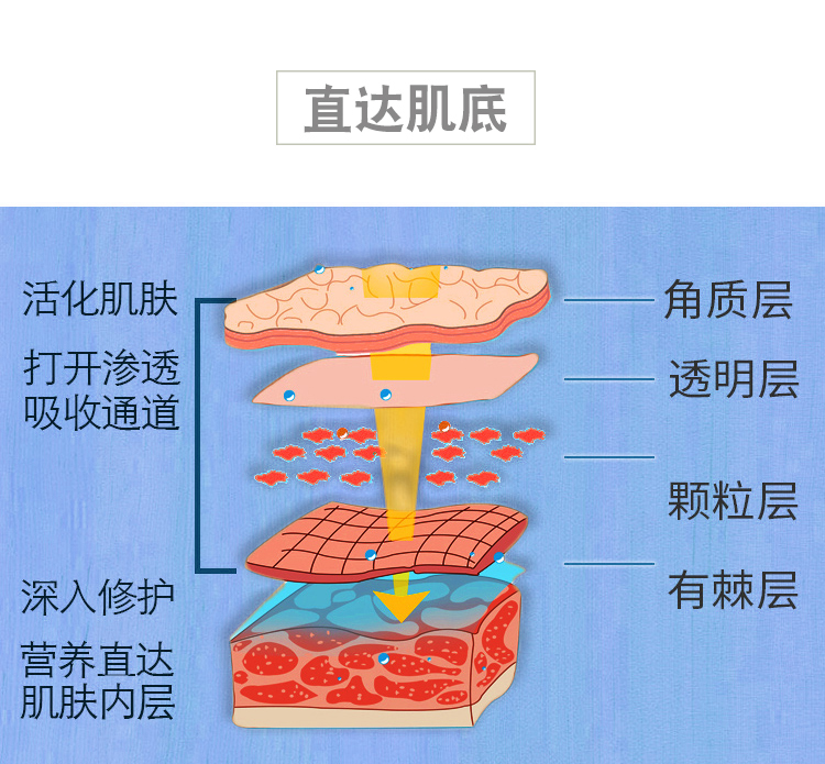 韩国尹姬 葡萄多酚按摩霜200g 保湿按摩乳美容院装正品 - 图2