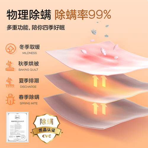 彩虹生活电热毯双人双控单人电褥子家用2025新款正品官方旗舰店 - 图2