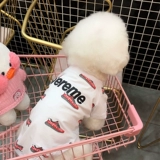 Модная собачья одежда маленькая собака Тедди Бишон Бой