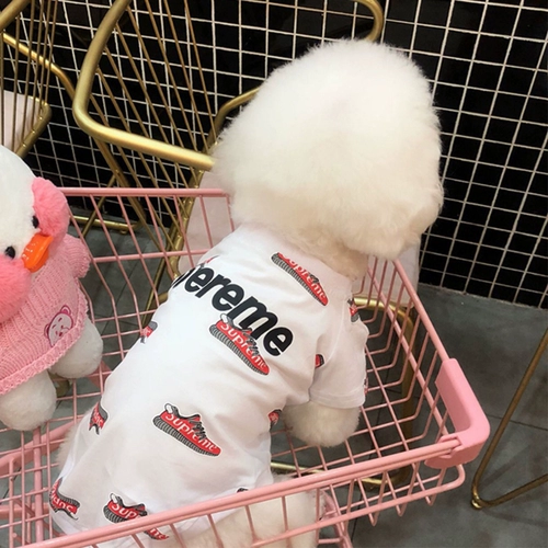 Модная собачья одежда маленькая собака Тедди Бишон Бой